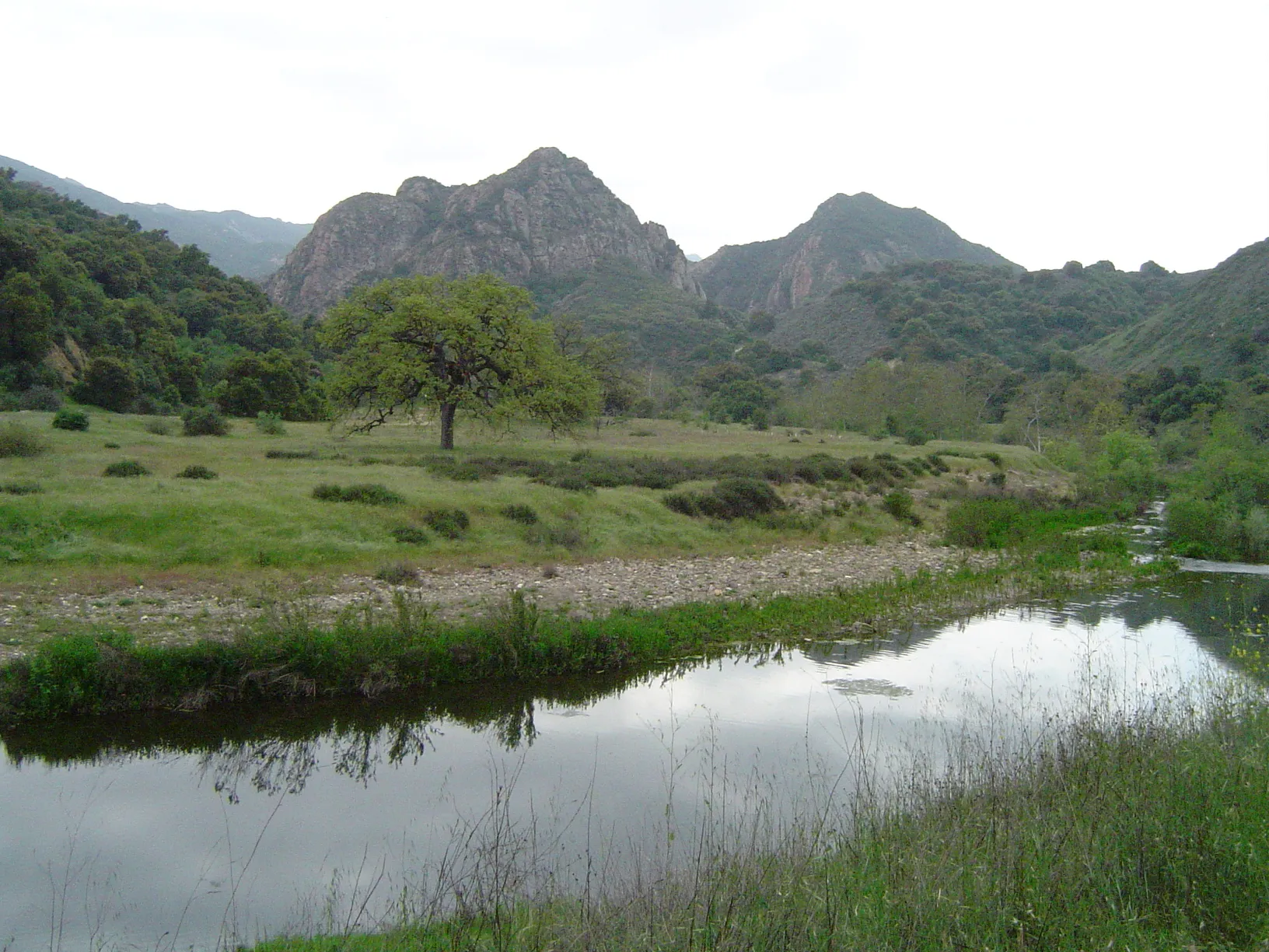 Malibu Creek and a valley oak with the volcanic Goat Buttes behind