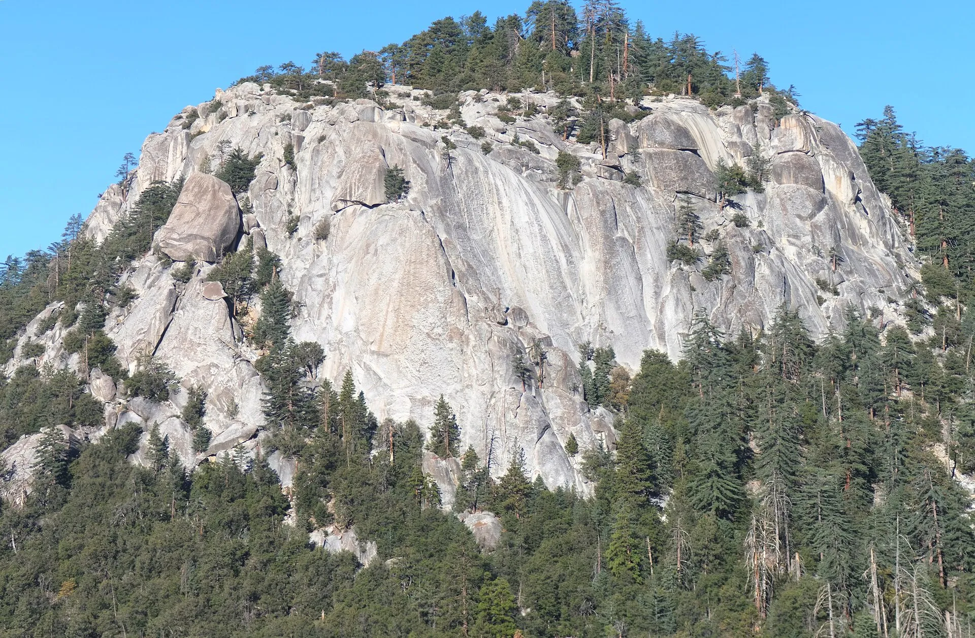The broad white granite face of Suicide Rock rising out of conifer forest
